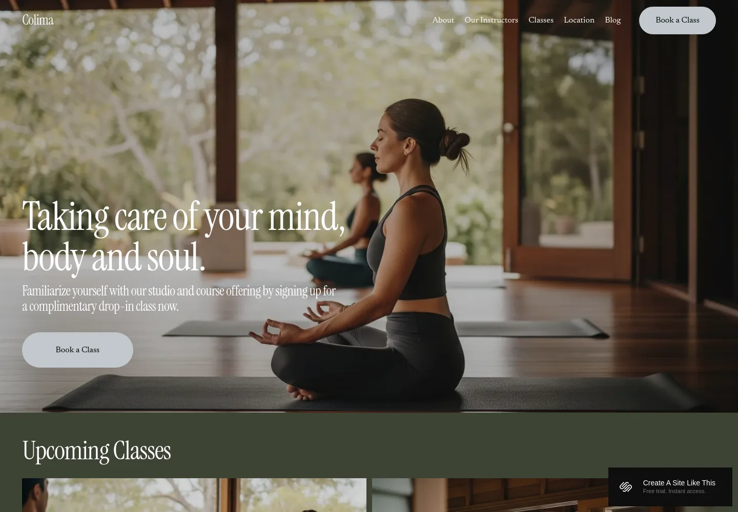 Colima Squarespace template demo screenshot