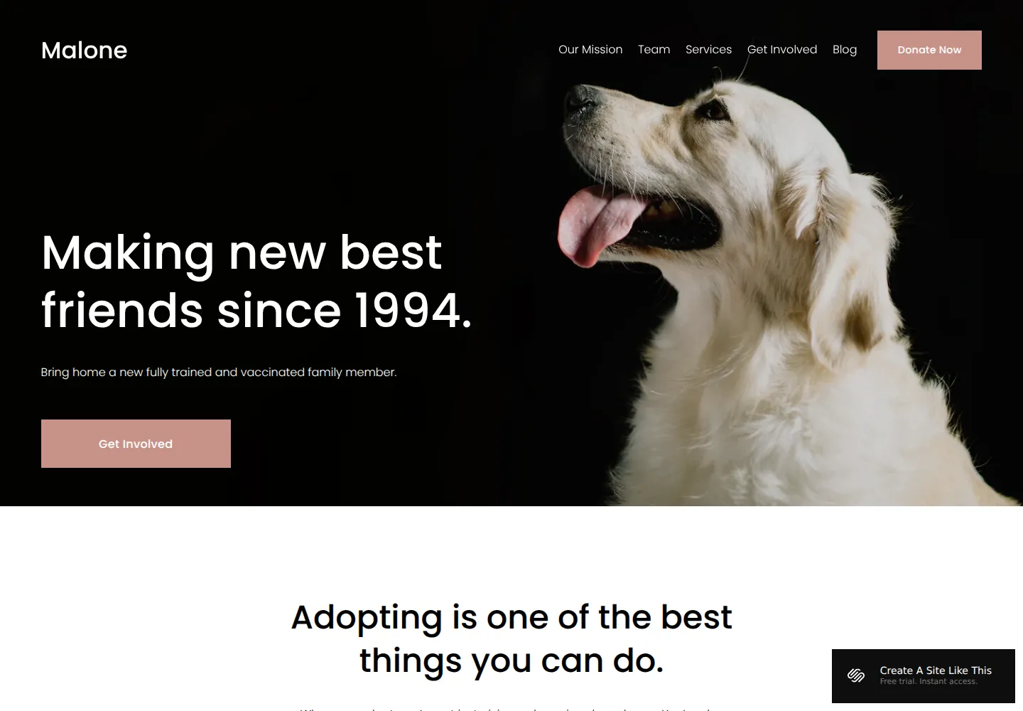 Malone Squarespace template demo screenshot