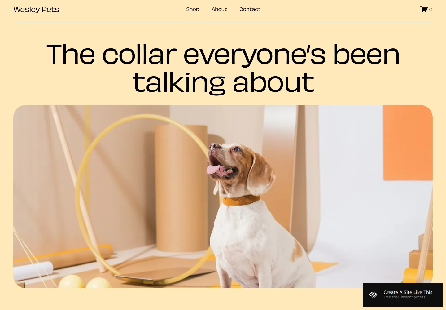 Wesley Squarespace template demo screenshot